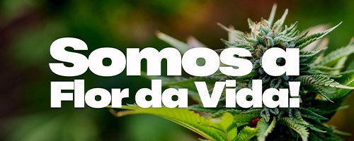 Clique para assistir o vídeo